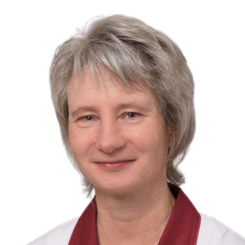 Damaris Hein-Bergmann